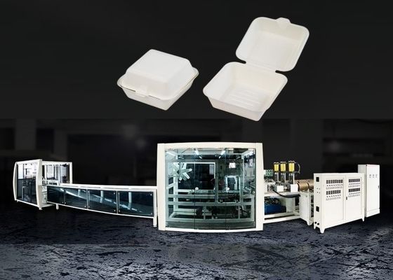 Burger Lunch Food Box Forming Machine Hamburger Molding Equipment